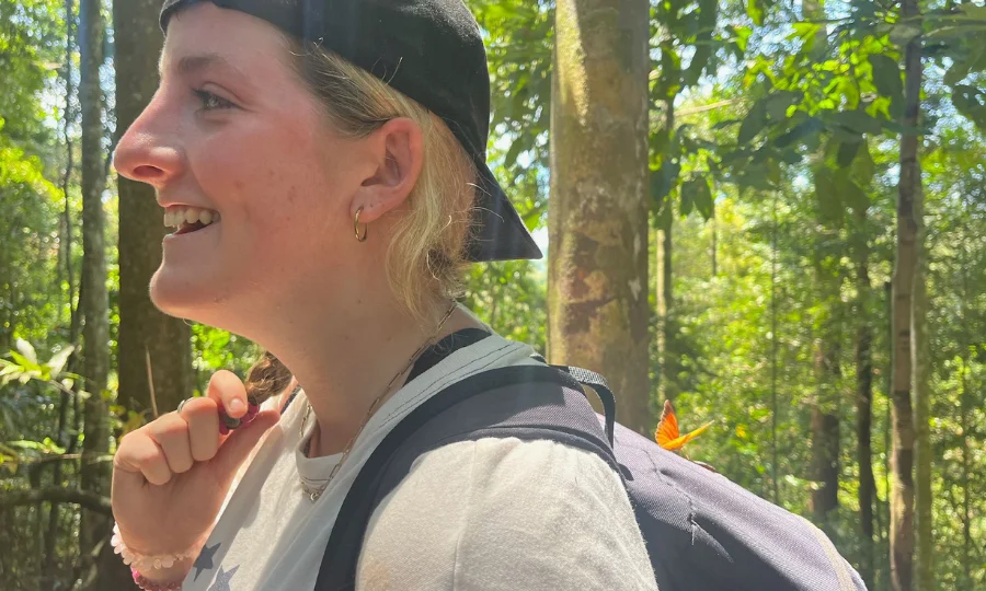 Orangutan Bukit Lawang