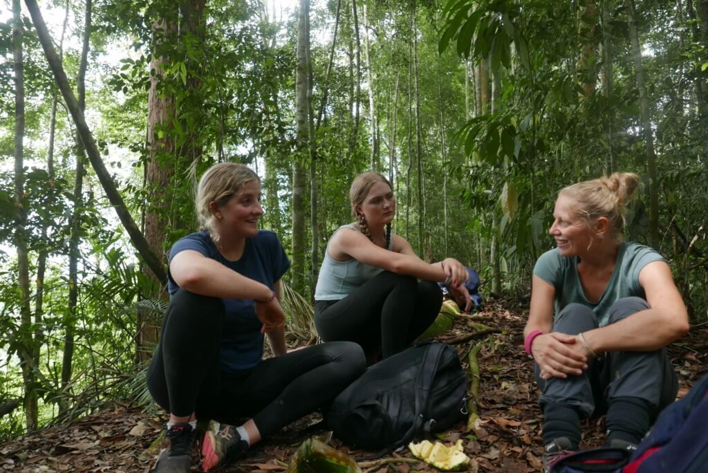 Orangutan Bukit Lawang